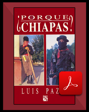 ¿Por qué Chiapas?