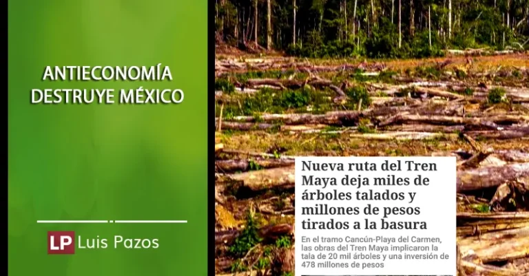 Lee más sobre el artículo Antieconomía destruye México